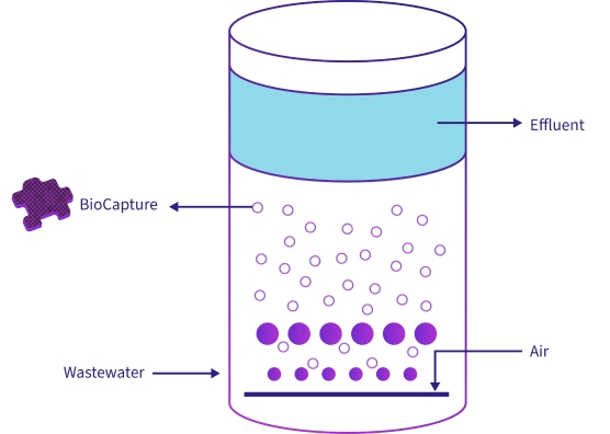 Diagram of Gradiant BoCapture MBBR