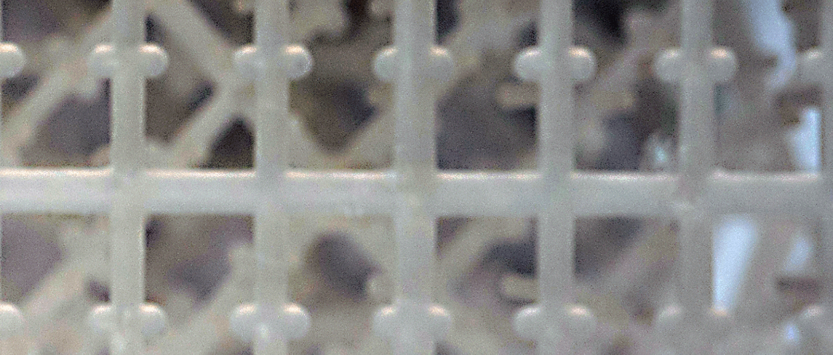 <br /><b>警告</b>：未定义变量 $settings <b>/nas/content/live/gradiant/wp-content/themes/gradiant_corporation/components/elementor/image-compare/render.php</b> 在线 <b>3</b><br /><br /><b>警告</b>:  Trying to access array offset on null in <b>/nas/content/live/gradiant/wp-content/themes/gradiant_corporation/components/elementor/image-compare/render.php</b> 在线 <b>3</b><br />