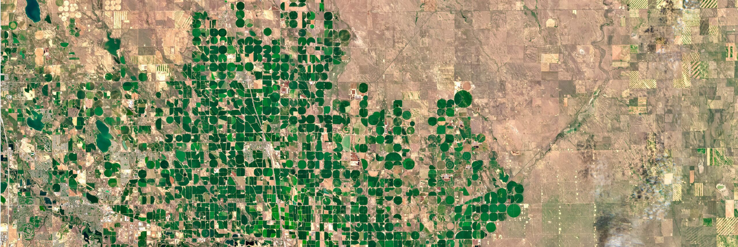 Satellite image of green circular irrigation fields in arid land, symbolizing how water drives growth and transformation, reflecting AI’s expanding resource needs and sustainability narrative.