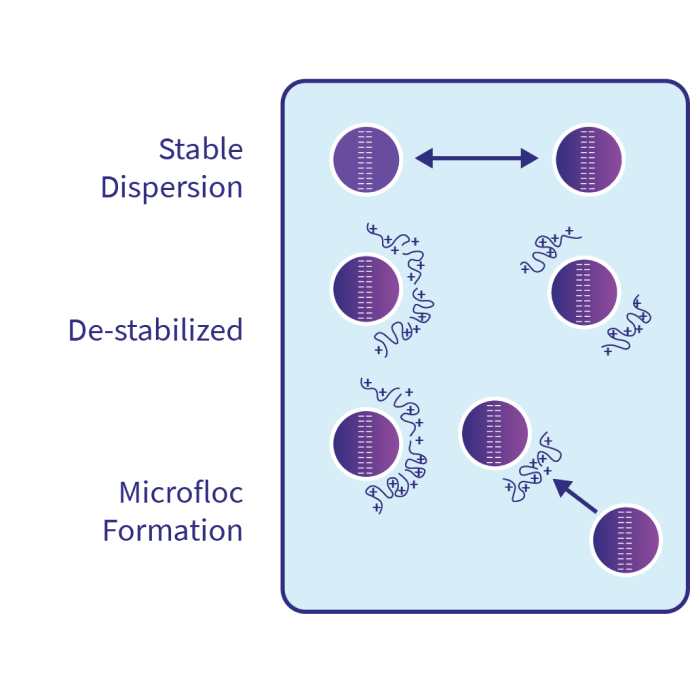 Coagulation