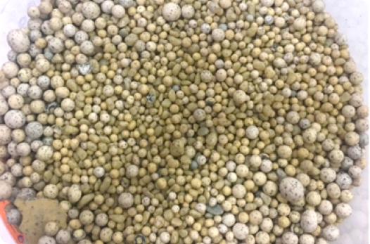 SCE's FBC granulierte Kristalle von Metallsalzen