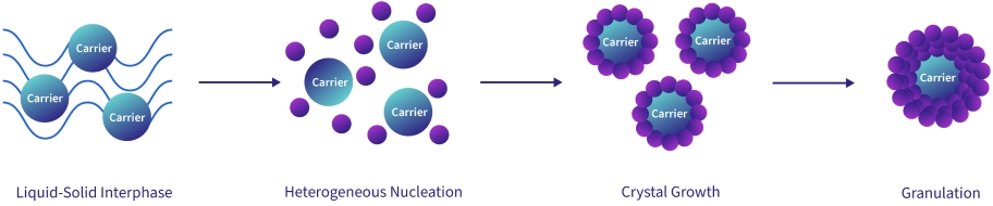 FBC Crystal Growth Stages